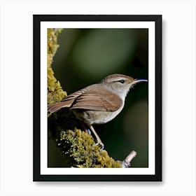 House Wren -Reimagined 1 Art Print