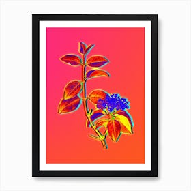 Neon Black Haw Botanical in Hot Pink and Electric Blue n.0607 Art Print