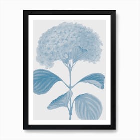 Flower No.1 Art Print