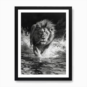 Barbary Lion Charcoal Drawing Crossing A River 4 Art Print