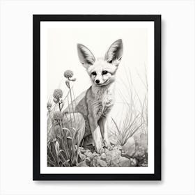 Fennec Fox In A Field Pencil Drawing 1 Art Print