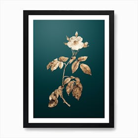 Gold Botanical Big Leaved Climbing Rose on Dark Teal n.0778 Art Print