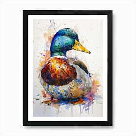 Mallard Duck Colourful Watercolour 3 Art Print