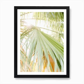 Palm Trees Poster