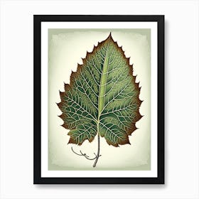 Birch Leaf Vintage Botanical 3 Art Print