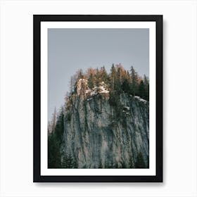 Mountain Top Forest Art Print