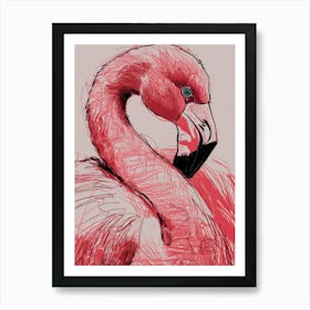 Flamingo Póster