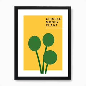 Chinese Money Plant Art Print