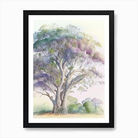 Atherton Tableland S 1, Curtain Fig Tree, Australia Pastel Watercolour Art Print