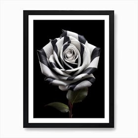 Black And White Rose 2 Art Print