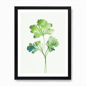 Parsley Leaf Minimalist Watercolour 2 Art Print