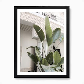 Banana Leafs Marrakech Art Print