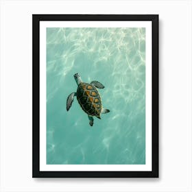 Sea Turtle Swimming 3 Art Print