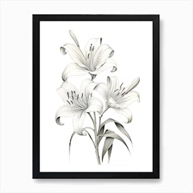 Lilies Flower Vintage Botanical 1 Art Print