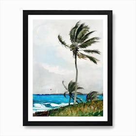 Palm Tree, Nassau, Winslow Homer Affiche