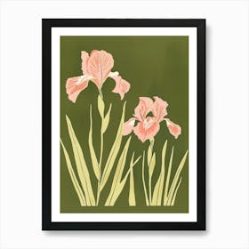 Pink & Green Iris 1 Art Print