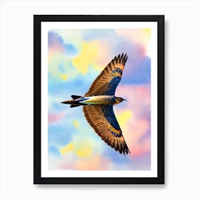 Harrier Watercolour Bird Poster