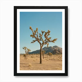 Joshua Tree Moon IV on Film Art Print