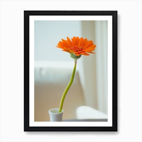 Orange Gerbera Flower In White Vase On White Background 1 Art Print