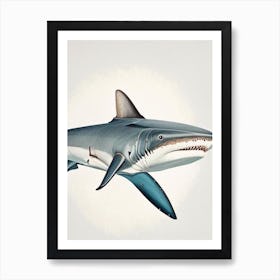 Porbeagle Shark Vintage Art Print