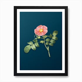 Vintage Japanese Rose Botanical Art on Teal Blue n.0800 Art Print