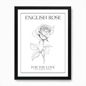 English Rose Black And White Line Drawing 4 Poster Art Print