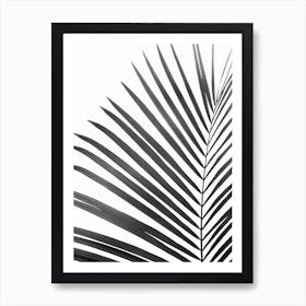 Palm Leaf Black Art Print