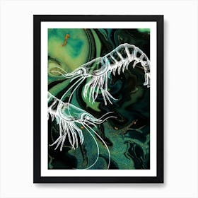 Under Water Wonders Shrimp Black & Green Art Print