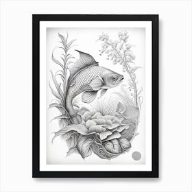 Chagoi Koi Fish Haeckel Style Illustastration Art Print