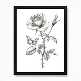 English Rose Butterfly Line Drawing 1 Art Print