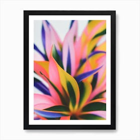 Clivia Colourful Illustration Plant Art Print