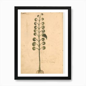 Fern Plant Art Print