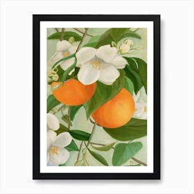 Branch Of Orange Art Print