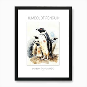 Humboldt Penguin Dunedin Taiaroa Head Watercolour Painting 2 Poster Art Print