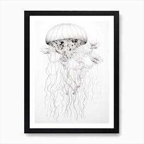 Turritopsis Dohrnii Importal Jellyfish 2 Art Print