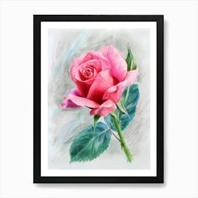 Pink Rose 1 Art Print