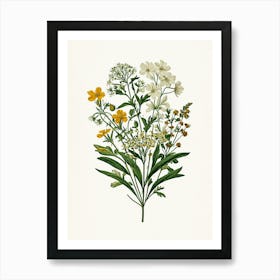 Vintage Botanical Galleria Style Wildflower Painting 9 Art Print