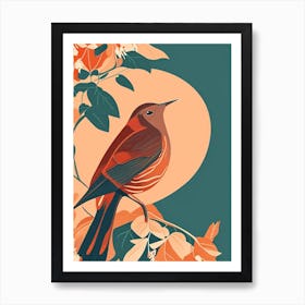 Hermit Thrush Pop Matisse 2 Bird Art Print