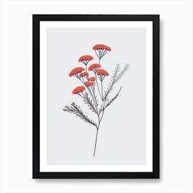 Yarrow Floral Minimal Line Drawing 2 Flower Art Print