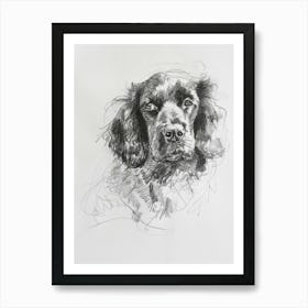 American Water Spaniel Dog Charcoal Line 4 Art Print