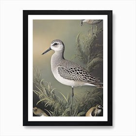 Grey Plover Haeckel Style Vintage Illustration Bird Art Print