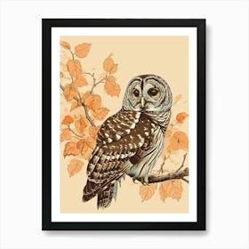 Barred Owl Vintage Illustration 1 Art Print