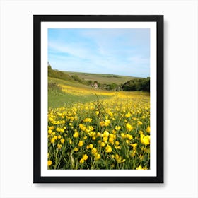 Field Of Yellow Flowers Art Print