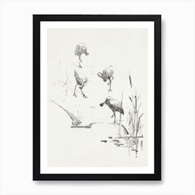 Greeting Card With Four Spoonbills (1878–1917), Theo Van Hoytema Art Print