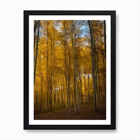 Autumn Forest 94 Art Print