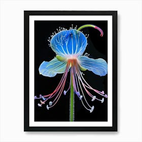 Blue Fuchsia Flower Art Print