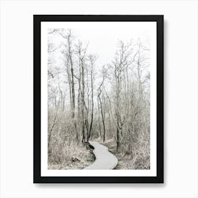 Path Through Woods In The Nature Of The Netherlands Art Print