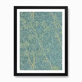 Baldcypress 2 tree Vintage Botanical Art Print