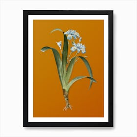 Vintage Iris Fimbriata Botanical on Sunset Orange n.0516 Art Print