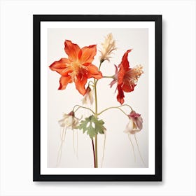 Pressed Wildflower Botanical Art Columbine 2 Art Print